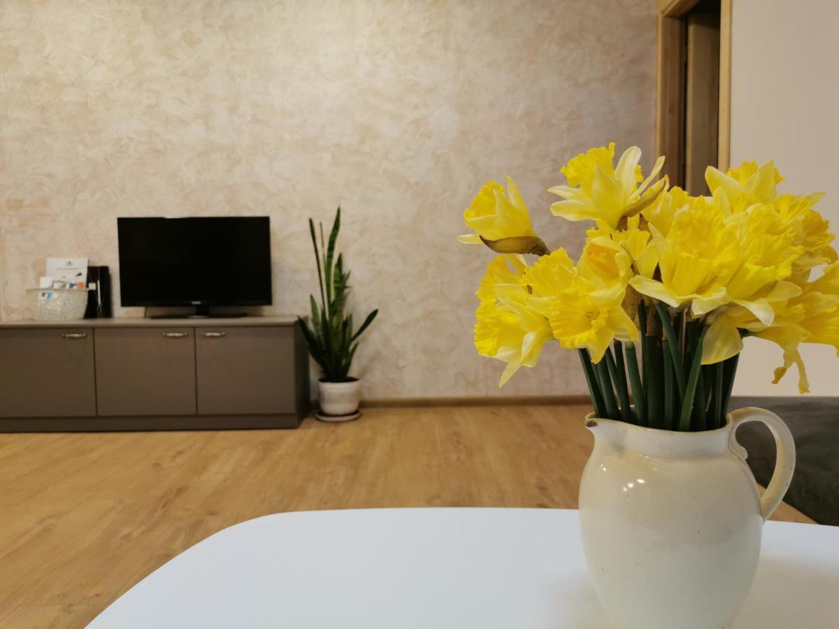 Central Apartments Nojus Druskininkai Dış mekan fotoğraf