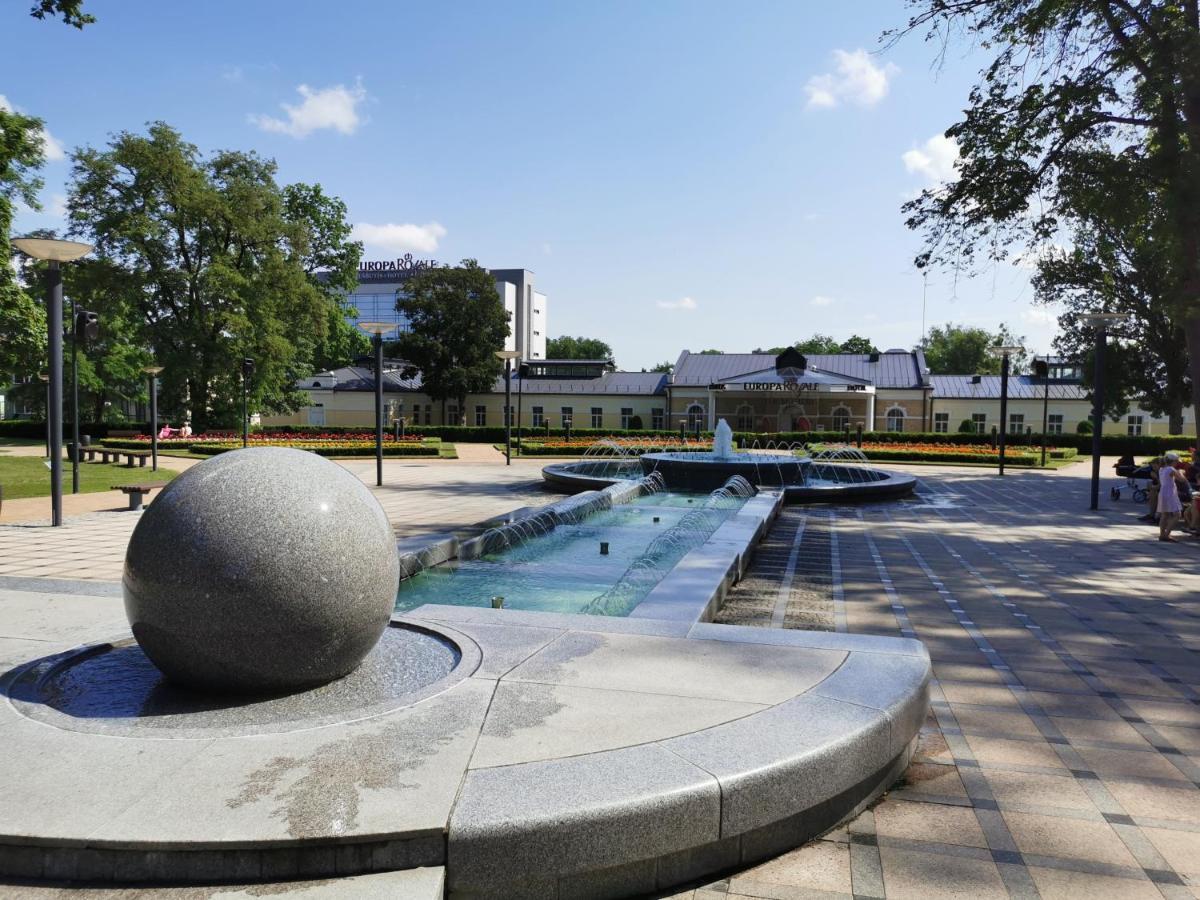 Central Apartments Nojus Druskininkai Dış mekan fotoğraf