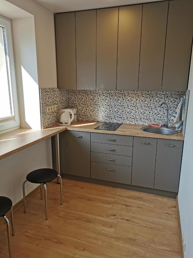 Central Apartments Nojus Druskininkai Dış mekan fotoğraf