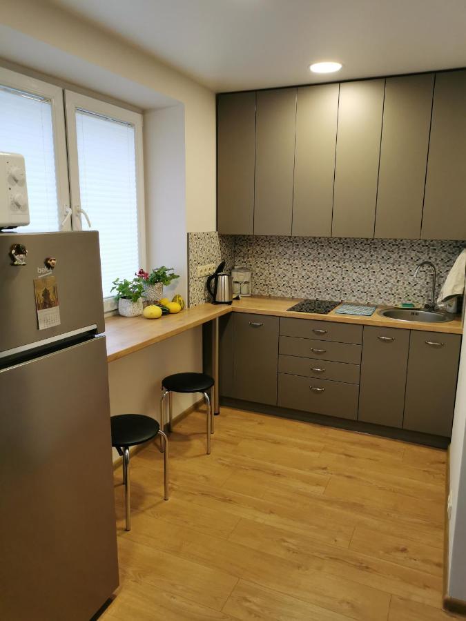 Central Apartments Nojus Druskininkai Dış mekan fotoğraf